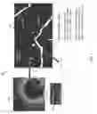 Fig. 09 - Method, apparatus, and system to identify branches of a blood vessel