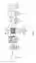 Fig. 02 - Anonymization of facial images