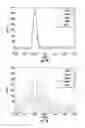 Fig. 45 - Impact force estimation and event localization