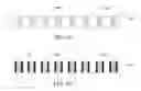 Fig. 03 - MAGNETIC STACK INCLUDING CRYSTALLIZED SEGREGANT INDUCED COLUMNAR MAGNETIC RECORDING LAYER