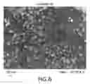 Fig. 07 - Composite materials comprising conductive nano-fillers