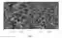 Fig. 03 - Difluorobithiophene-based donor-acceptor polymers for electronic and photonic applications
