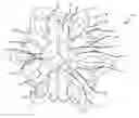 Fig. 01 - Electric motor and generator