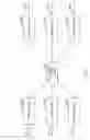 Fig. 06 - End-to-end negative acknowledgment