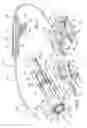 Fig. 02 - Reduced area imaging device incorporated within endoscopic devices