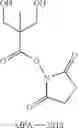 Fig. 46 - Antimicrobial guanidinium and thiouronium functionalized polymers