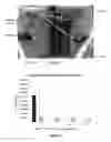 Fig. 05 - METHOD OF SANITIZING EDIBLE SEEDS, PARTICULARLY MUCILAGE PRODUCING SEEDS