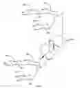 Fig. 02 - High-purity steviol glycosides
