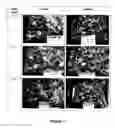 Fig. 08 - EDIBLE COATING COMPOSITION AND USES THEREOF
