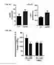 Fig. 08 - Use of sedoheptulose as a nutritional supplement