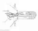 Fig. 01 - ADDITIVE - CONTAINING MEMBER