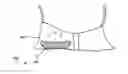 Fig. 01 - Sweat-Absorbent Support Cushions For a Bra