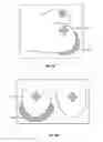 Fig. 04 - Sweat-Absorbent Support Cushions For a Bra