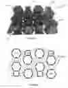 Fig. 22 - Laterally supported filaments