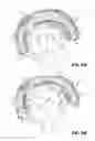 Fig. 07 - PROTECTIVE HELMETS HAVING ENERGY ABSORBING LINERS