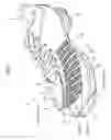 Fig. 02 - Shoe upper and shoe including the shoe upper