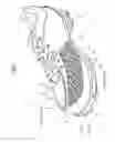 Fig. 07 - Shoe upper and shoe including the shoe upper