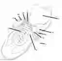 Fig. 01 - Shoelace securing device and method of use