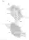 Fig. 01 - Adjustable brush treatment device