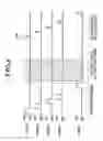 Fig. 07 - Radiographic image capturing system and radiographic image capturing apparatus