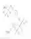 Fig. 02 - Remote diagnostic imaging
