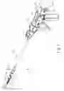 Fig. 02 - Surgical stapler/cutter and extended buttress