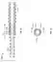 Fig. 22 - Apparatus and methods for fracture repair