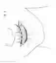 Fig. 02 - Bracket system