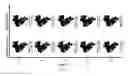 Fig. 08 - PROSTHESIS FOR DENTAL REPLACEMENT, METHOD OF REDISTRIBUTING STRESS AND STRESS ANALYSIS METHOD