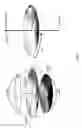 Fig. 09 - Method of coloring a pre-sintered dental restoration