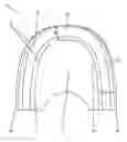 Fig. 01 - FORM FOR PRODUCING A PRE-MOLDED PROSTHESIS-BASE BLANK