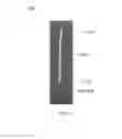 Fig. 07 - Soft Tissue Implant Systems, Kits, Implants, Devices and Associated Methods