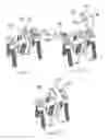 Fig. 09 - A Prosthetic Intervertebral Disc Joint Assembly