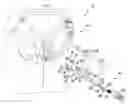 Fig. 01 - Surgical instrument and method of positioning an acetabular prosthetic component