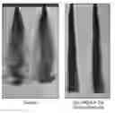 Fig. 01 - Hair shaping composition