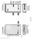 Fig. 09 - Coordinated metabolic reprogramming in response to productive viral infections