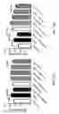 Fig. 43 - Coordinated metabolic reprogramming in response to productive viral infections