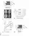 Fig. 02 - Compositions and methods for the treatment of lysosomal storage disorders and disorders characterized by lysosomal dysfunction