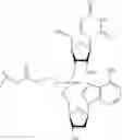 Fig. 49 - Compositions and methods for treating viral infections