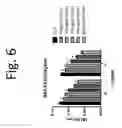Fig. 07 - COMPOSITIONS AND METHODS OF USE THEREOF
