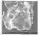 Fig. 01 - Nutraceutical containing an oxygen-enabled composition