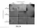 Fig. 03 - COMPOSITION CONTAINING MESENCHYMAL STEM CELL-HYDROGEL AND METHOD FOR PRODUCING THE COMPOSITION