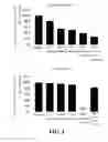 Fig. 05 - COMPOSITION CONTAINING MESENCHYMAL STEM CELL-HYDROGEL AND METHOD FOR PRODUCING THE COMPOSITION