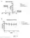 Fig. 04 - METHODS OF TREATING HYPOXIA-ASSOCIATED OPTICAL CONDITIONS WITH CARTILAGE OLIGO MATRIX PROTEIN-ANGIOPOIETIN 1 (COMP-ANG1)