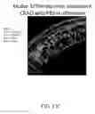 Fig. 19 - METHODS OF TREATING HYPOXIA-ASSOCIATED OPTICAL CONDITIONS WITH CARTILAGE OLIGO MATRIX PROTEIN-ANGIOPOIETIN 1 (COMP-ANG1)