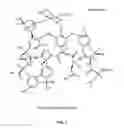 Fig. 02 - Aqueous solution formulations of vancomycin