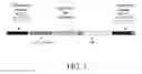Fig. 02 - GENETICALLY MODIFIED BABESIA PARASITES EXPRESSING PROTECTIVE TICK ANTIGENS AND USES THEREOF