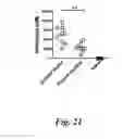 Fig. 22 - NUCLEIC ACIDS FOR TREATMENT OF PEANUT ALLERGIES