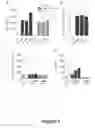 Fig. 07 - Methods of modulating immune system responses