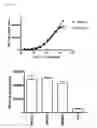 Fig. 07 - BISPECIFIC MOLECULES CAPABLE OF SPECIFICALLY BINDING TO BOTH CTLA-4 AND CD40